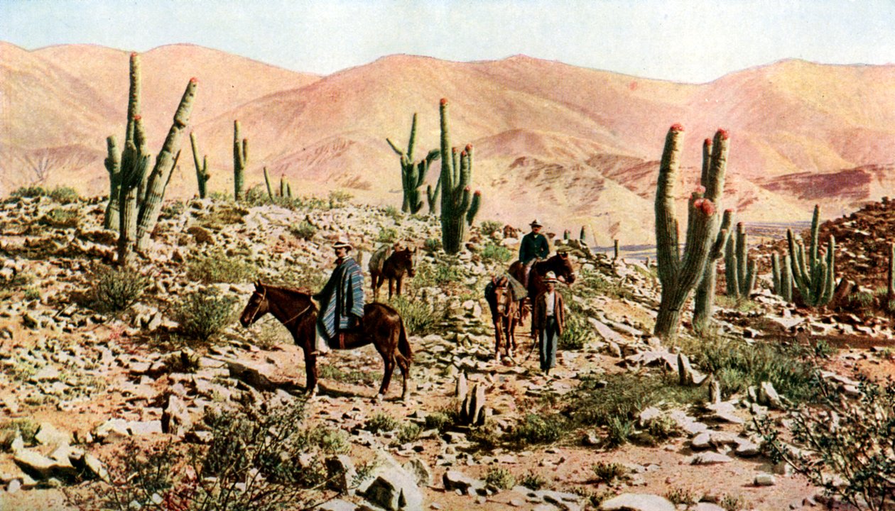 Atacama-ørkenen, det nordlige Chile, Sydamerika, c1923 af Unbekannt
