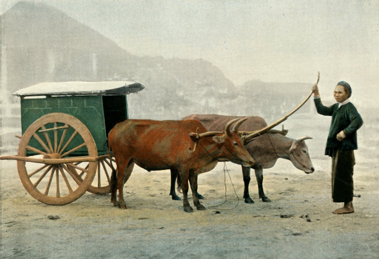 Annamite hitch, Annamite Yoke, 1900. af Unbekannt