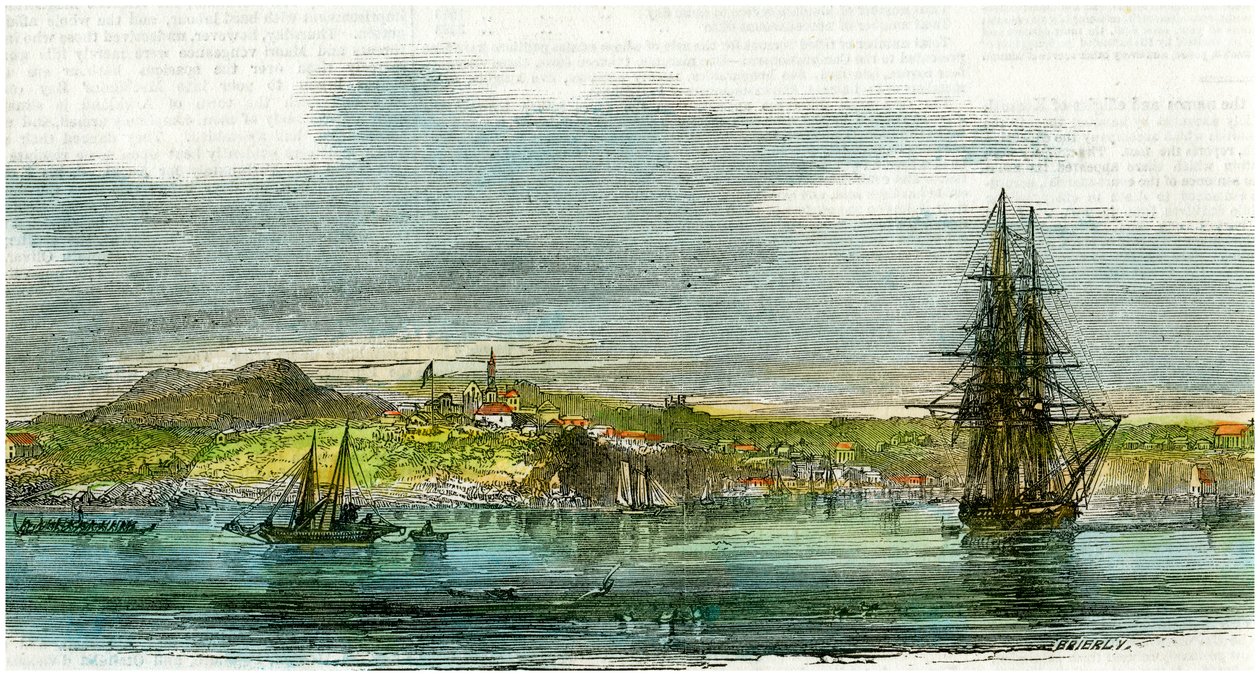 Auckland, New Zealand, c1880 af Unbekannt