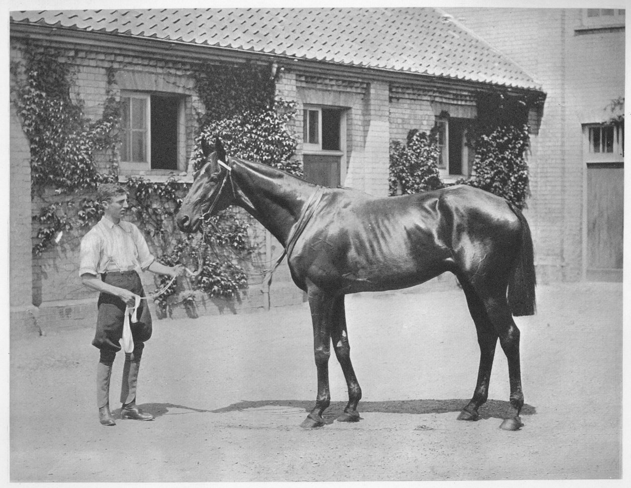Australian Star, 1911 af Unbekannt