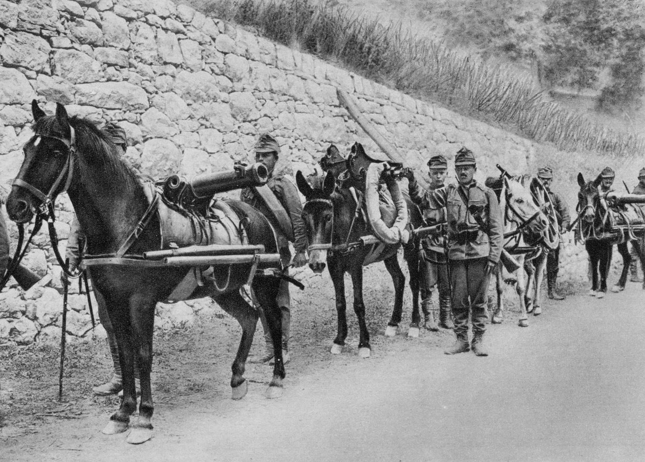 Østrigske soldater, Østrig-italiensk krig, Slaget ved Isonzo, Første Verdenskrig, 1915 af Unbekannt