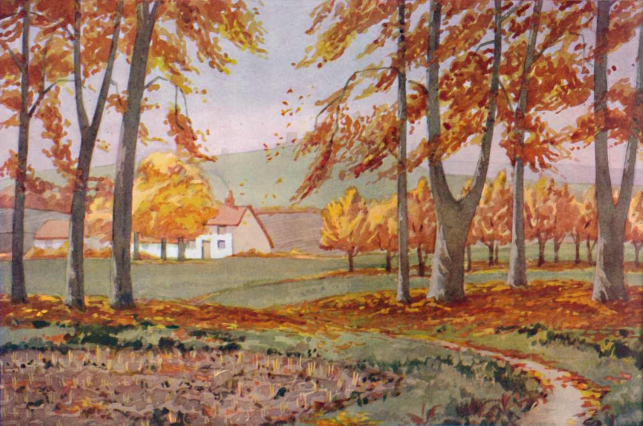 Efterår - De fysiske, kemiske og biologiske forandringer forårsaget af solen i løbet af året, 1935 af Unbekannt