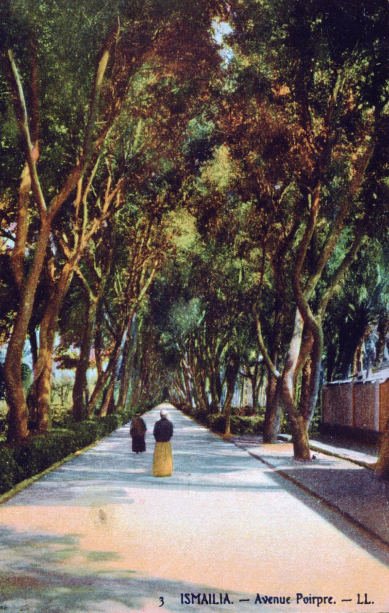 Avenue Poirpre, Ismailia, Egypten, c1900 af Unbekannt