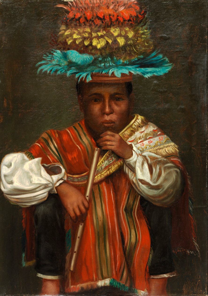 Aymara Boy, ca. 1890-1892. af Unbekannt