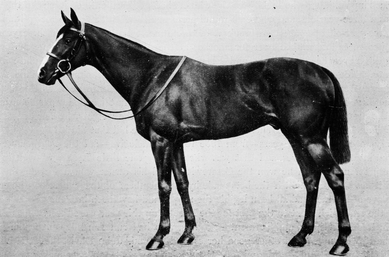 Bachelor dobbelt, 1911 af Unbekannt