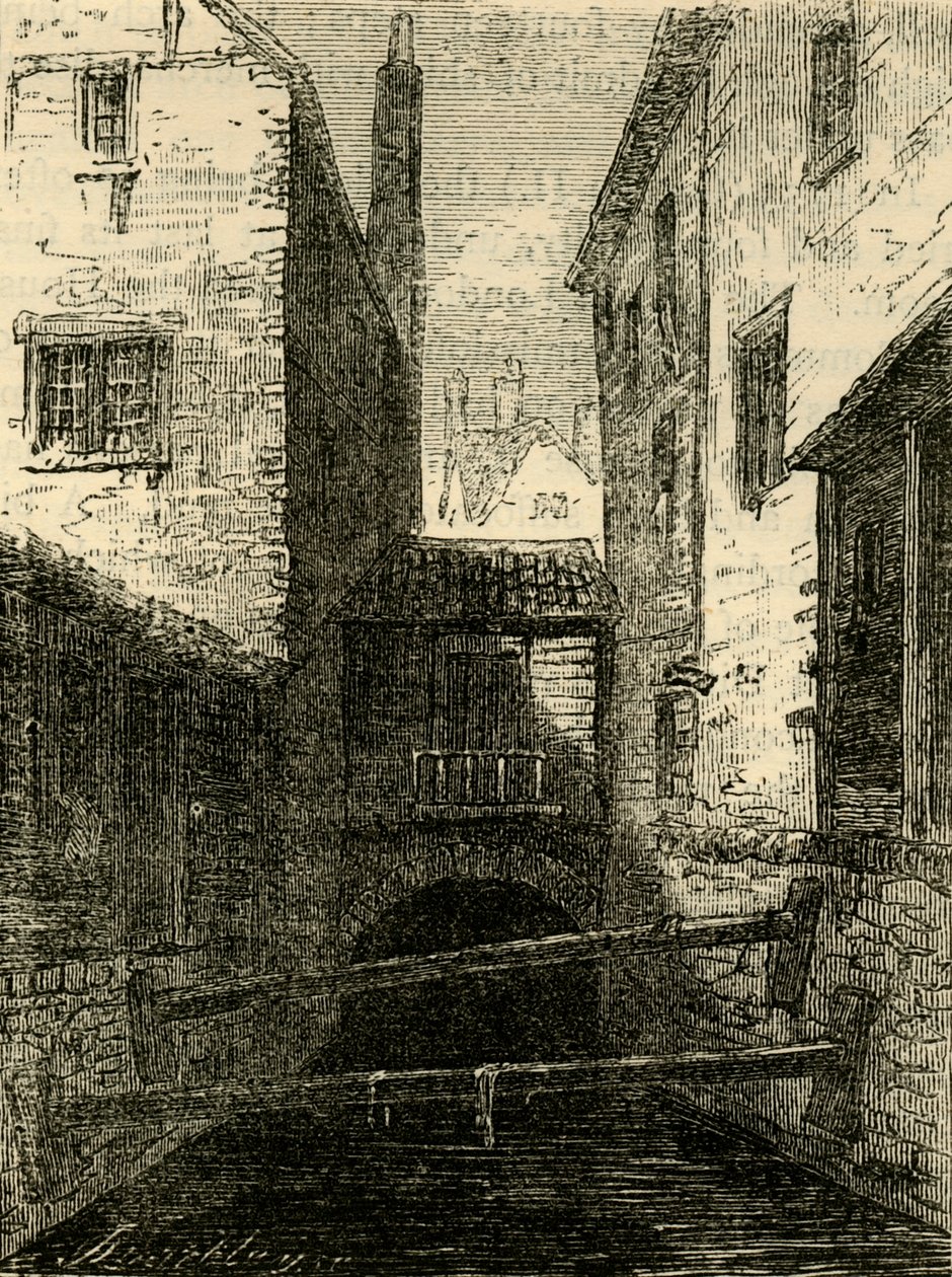 Bagsiden af den røde løve, fra flåden, c1872. af Unbekannt