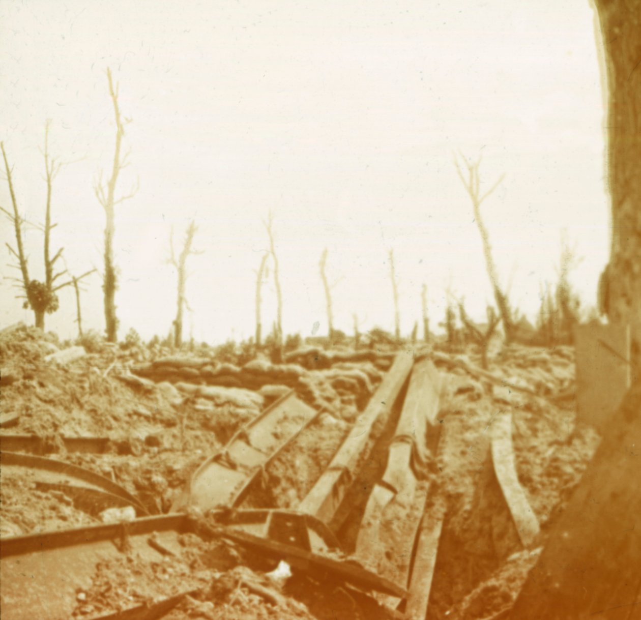 bredden af floden Yser, Diksmuide, Belgien, c1914-c1918 af Unbekannt