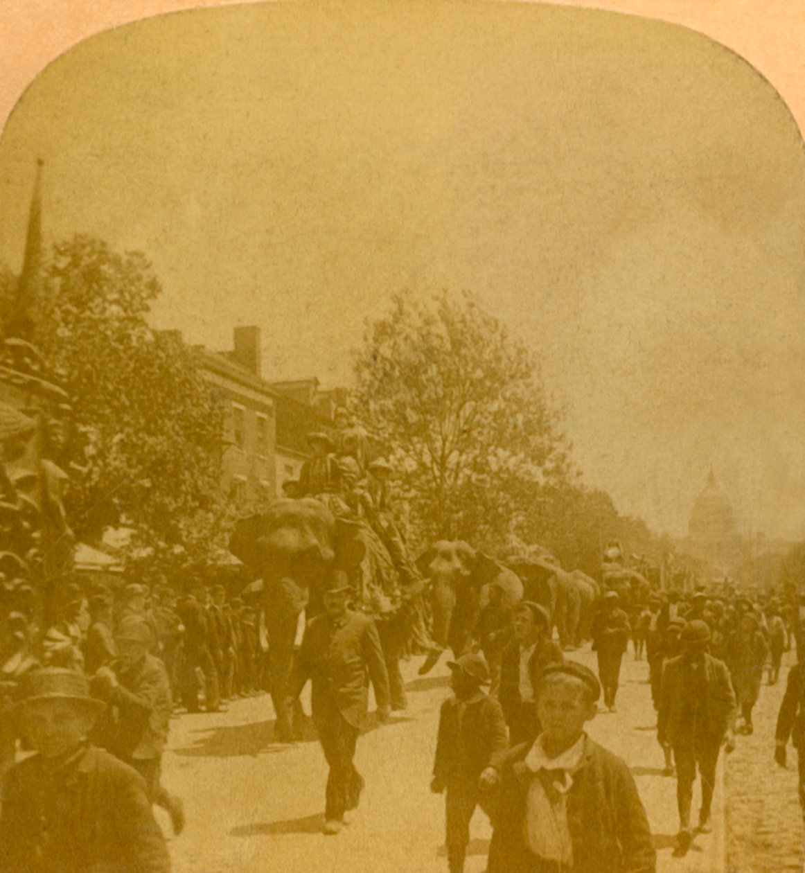 Barnums Parade, Penn. Ave. Washington D.C., slutningen af det 19.-begyndelsen af det 20. århundrede. af Unbekannt