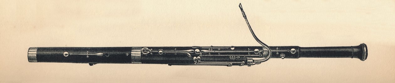 Fagot, 1895. af Unbekannt