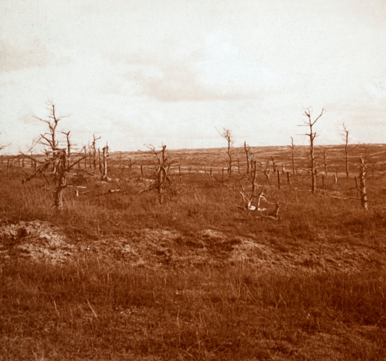 Battlefield, Tahure, Nordfrankrig, c1914-c1918 af Unbekannt
