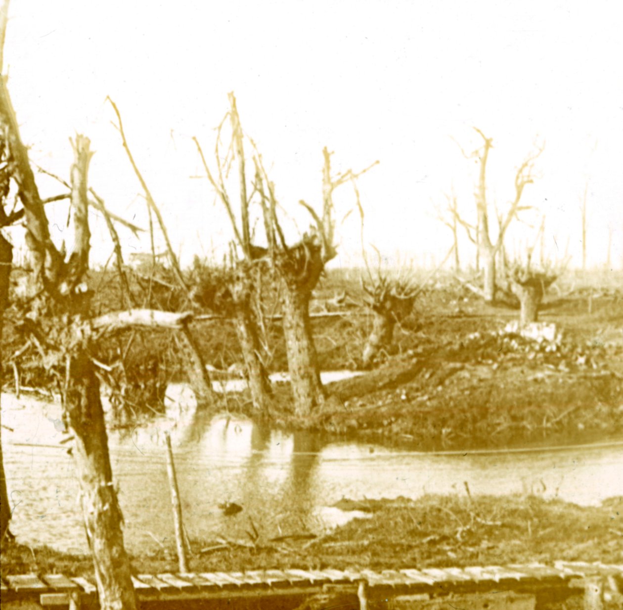 Battlefield, c1914-c1918 af Unbekannt