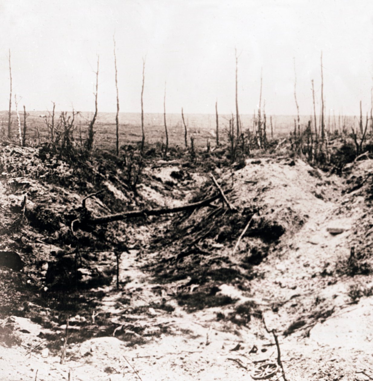 Battlefield, c1914-c1918 af Unbekannt