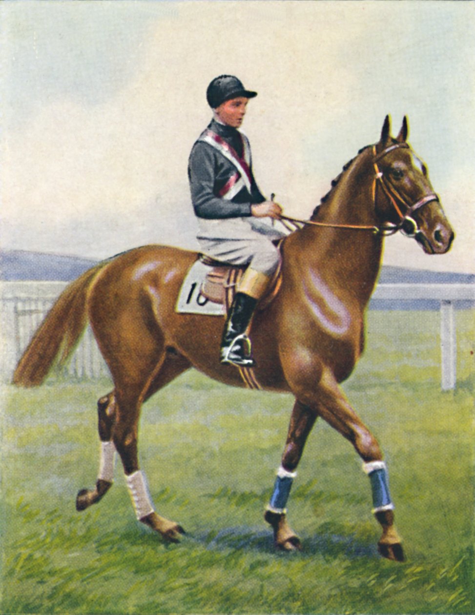 Slagskib, Jockey: B. Hobbs, 1939 af Unbekannt