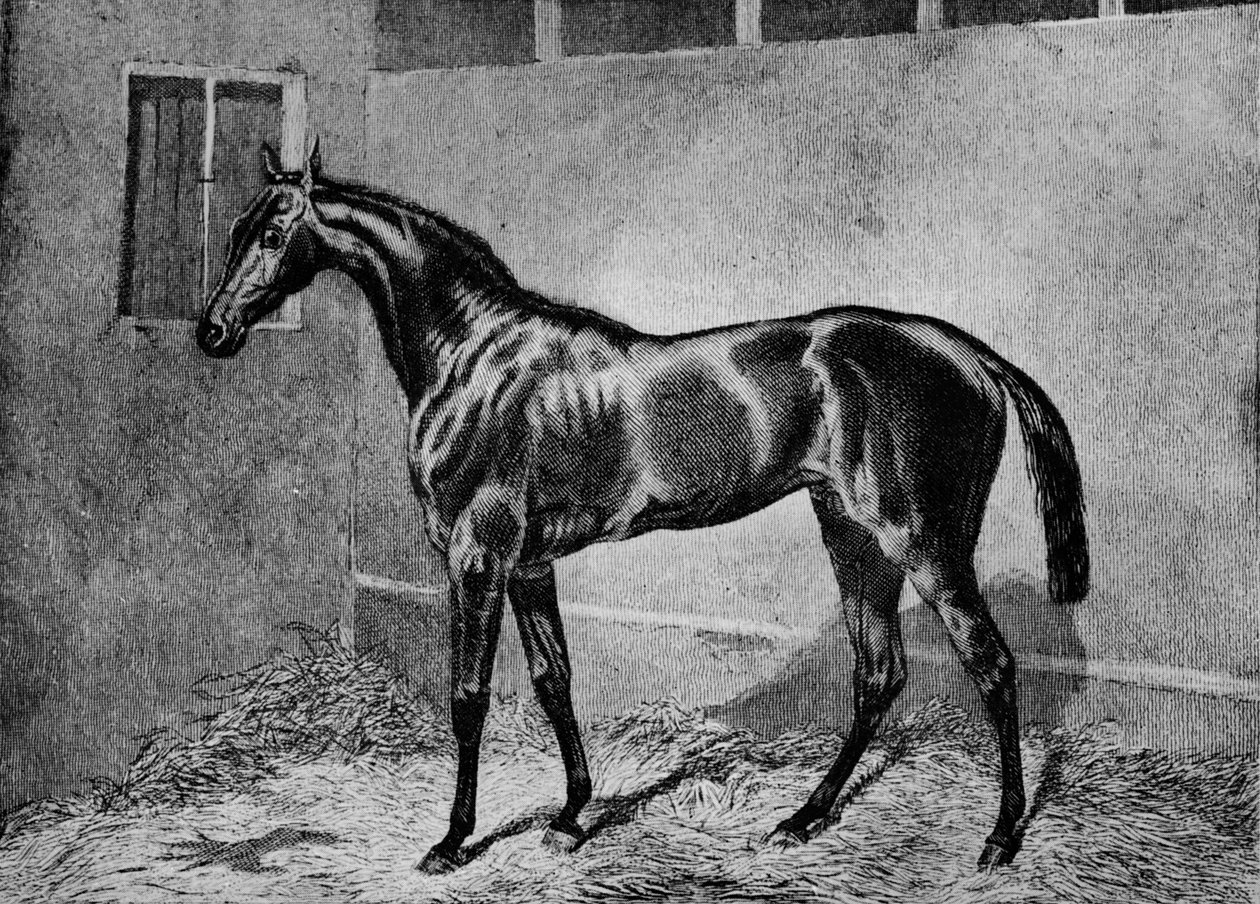Beadsman, 1855-1872, 1911 af Unbekannt