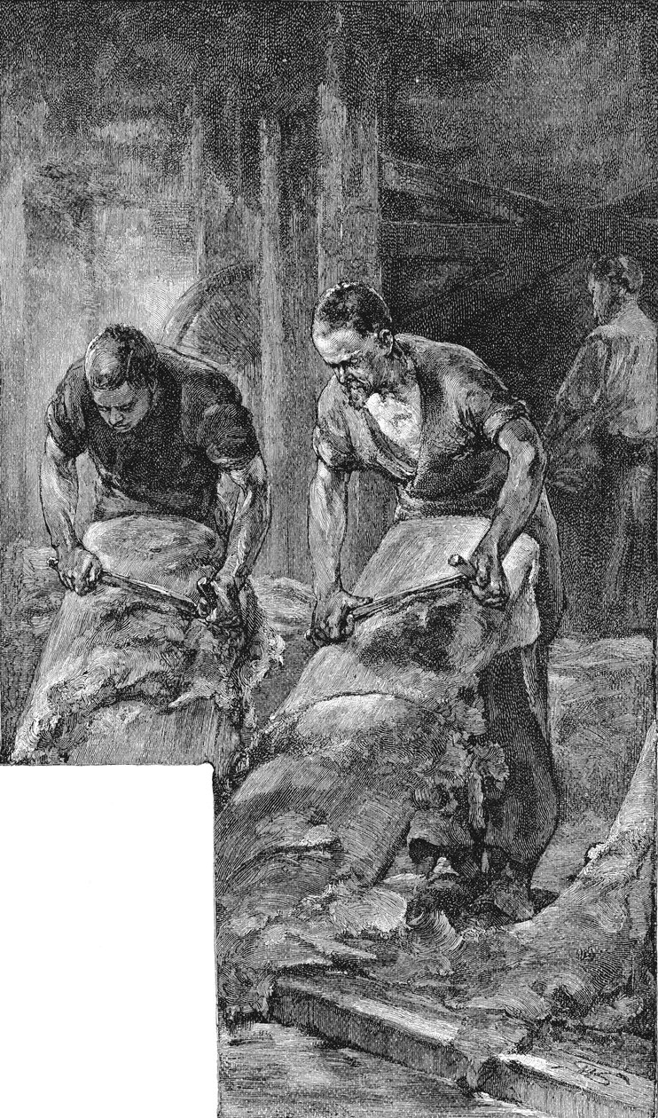 Strålende huder til fremstilling af skolæder, 1885 af Unbekannt