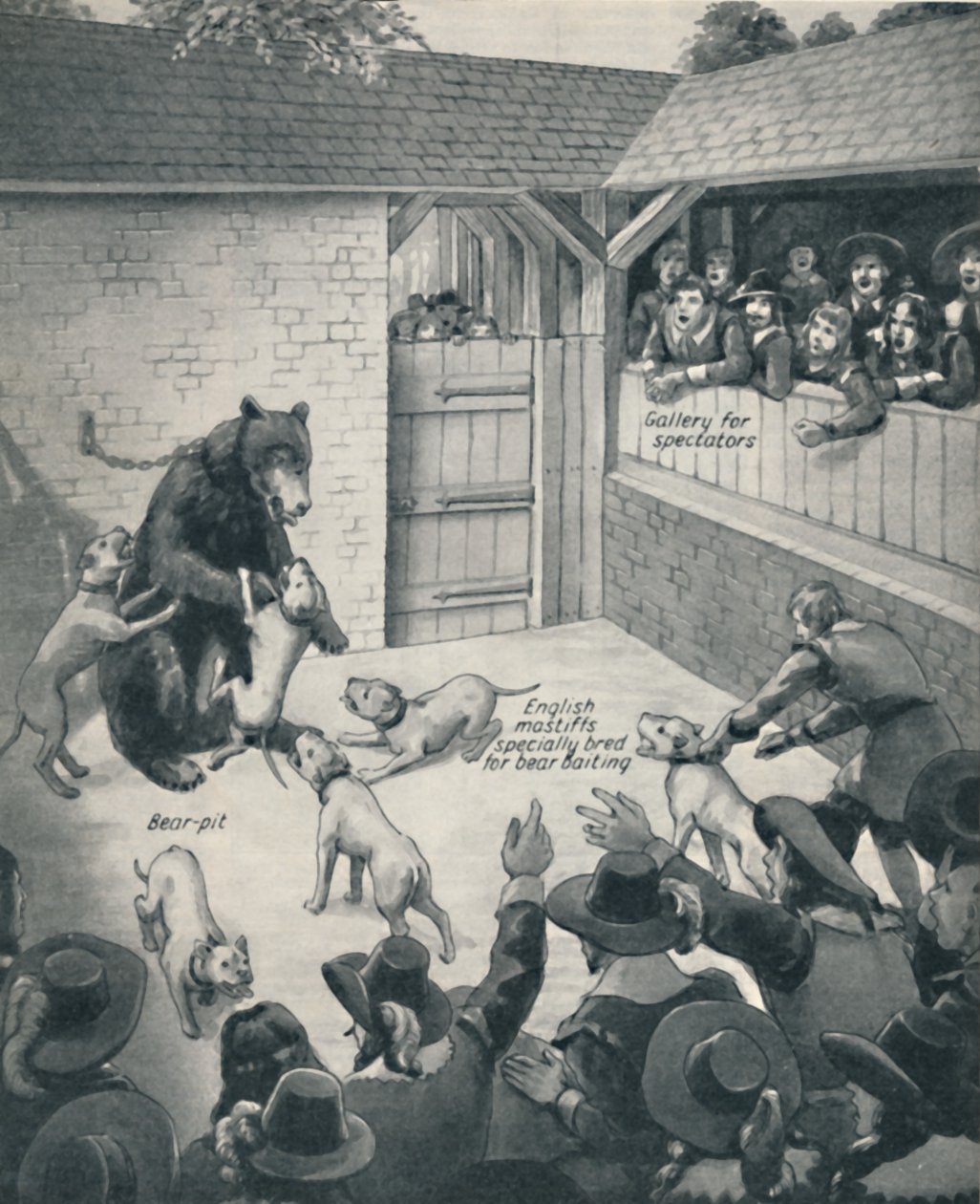 Bear-baiting in a Stuart Bear Pit, c1934 af Unbekannt