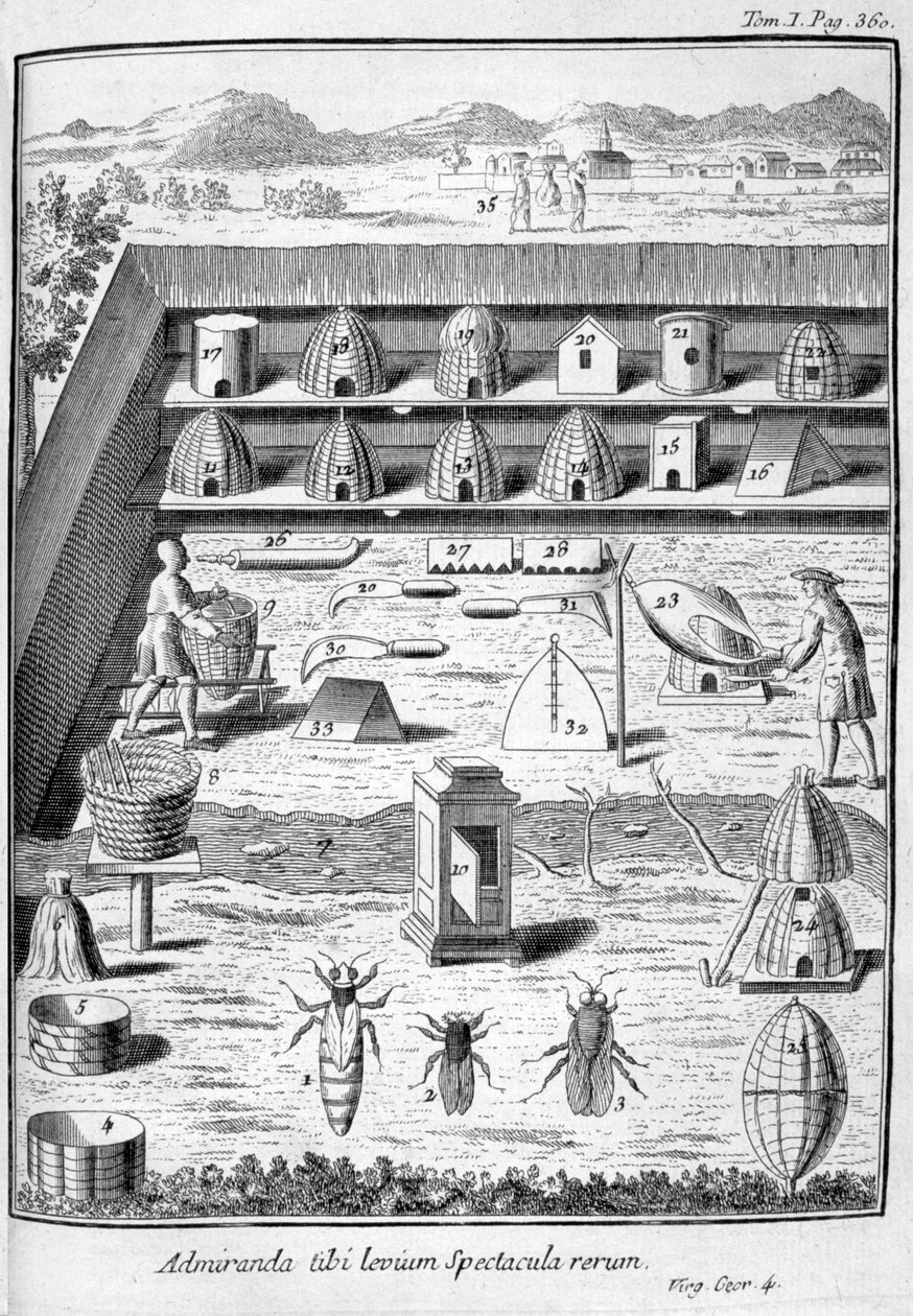 Biavlen, 1775 af Unbekannt