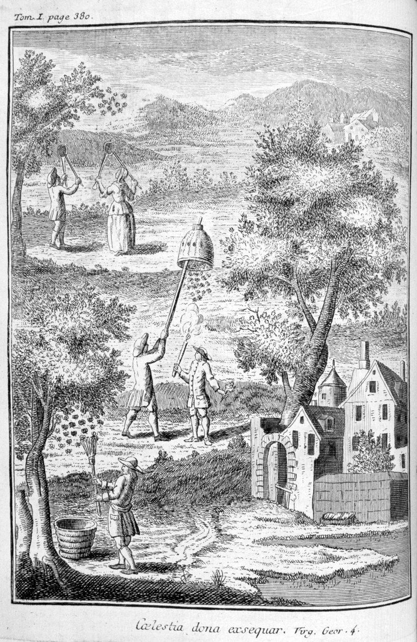 Biavlen, 1775 af Unbekannt