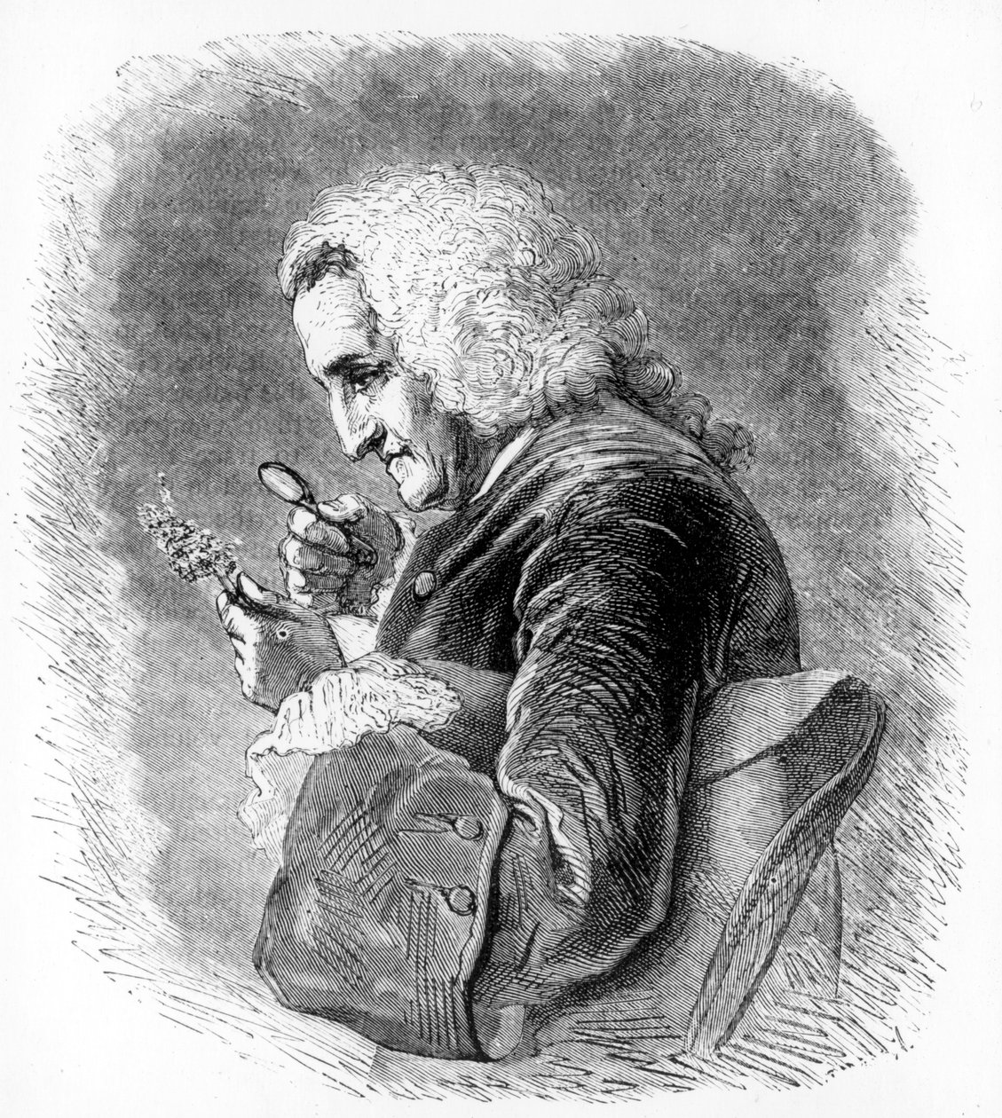 Bernard de Jussieu, fransk botaniker fra det 18. århundrede, 1880 af Unbekannt