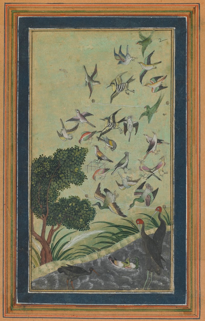 Fugle ved Baran, muligvis fra Babur-nama, slutningen af det 16. århundrede. af Unbekannt