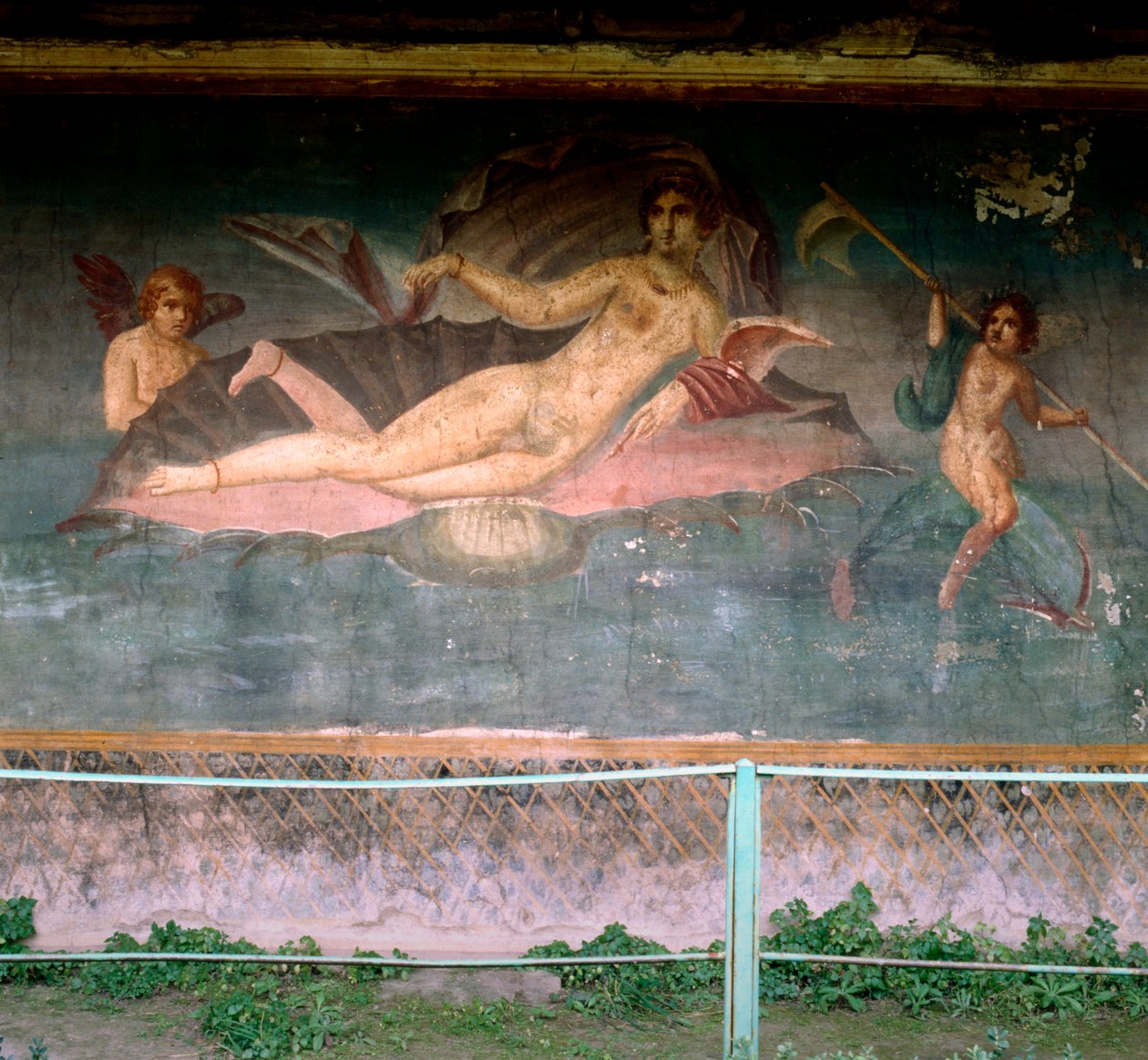 Venus