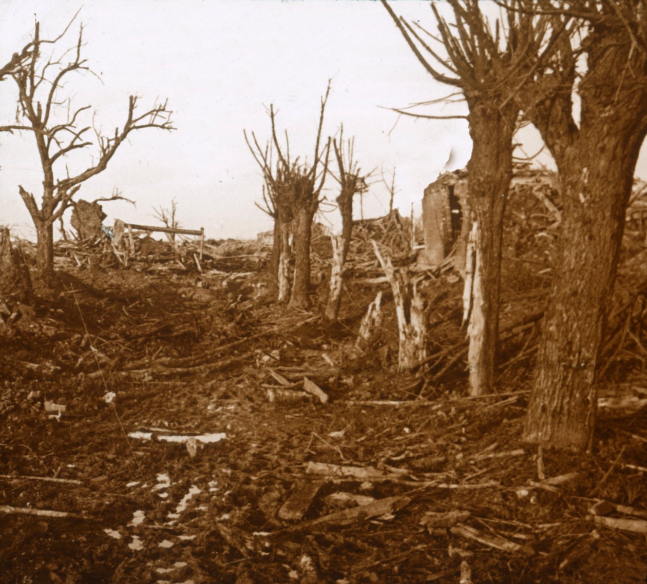 Sprængt landskab, Belloy-en-Santerre, Nordfrankrig, c1914-c1918 af Unbekannt
