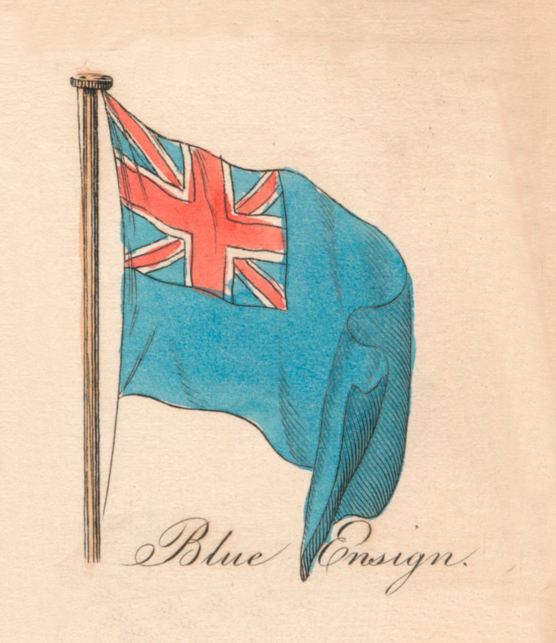 Blå Fændrik, 1838 af Unbekannt