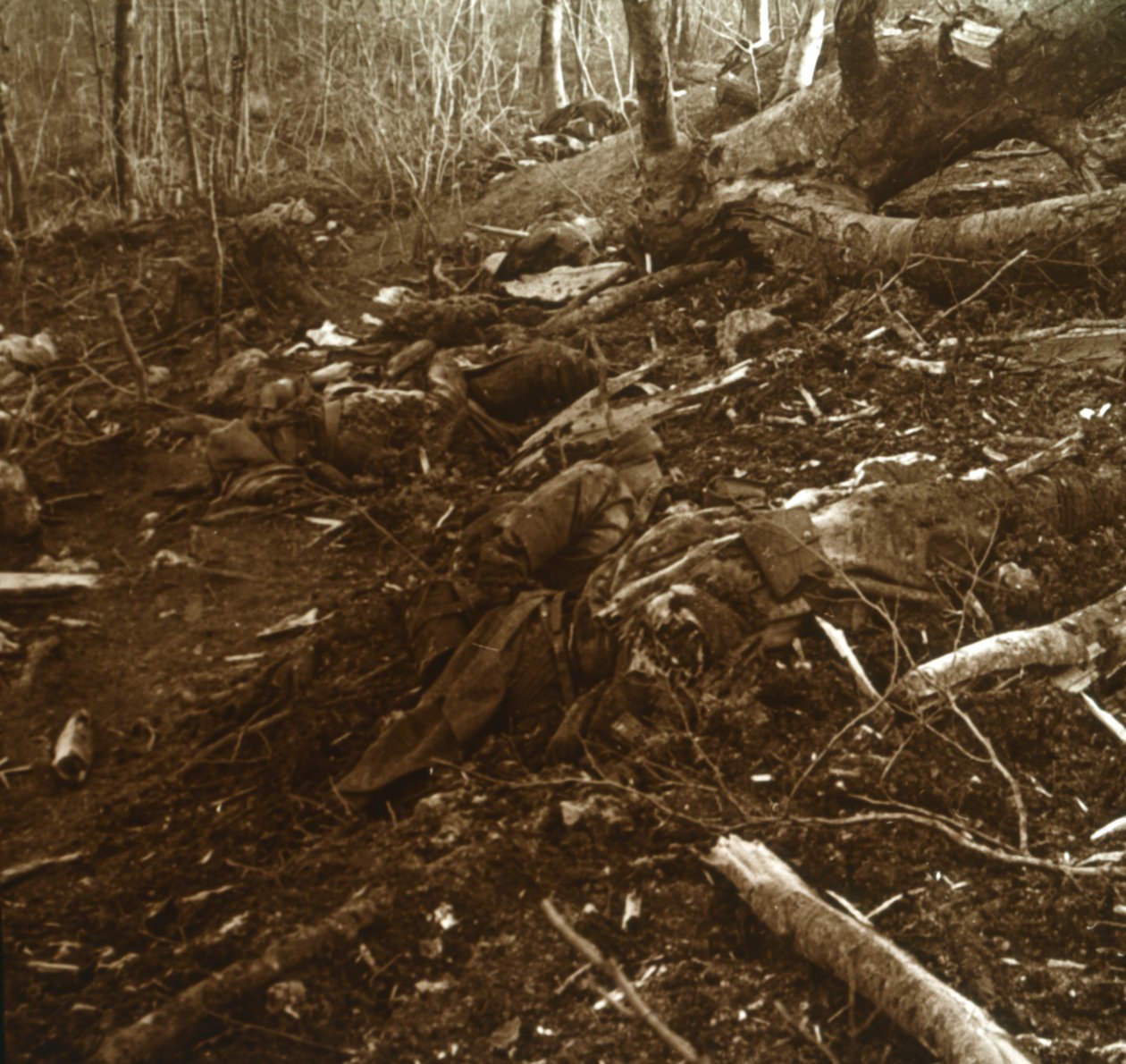 Bodies, Les Éparges, Nordfrankrig, 1915. af Unbekannt