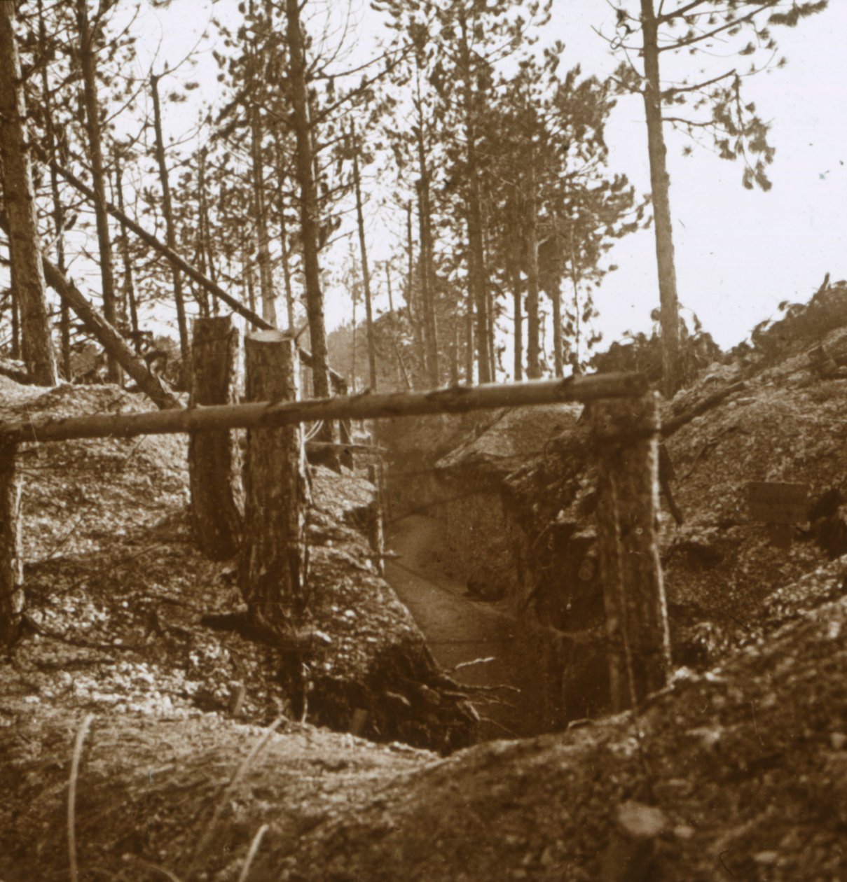 Bois-le-Prêtre, Nordfrankrig, c1914-c1915 af Unbekannt