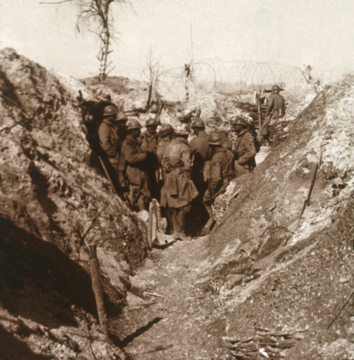 Bois de la Grille før angreb, Nordfrankrig, c1914-c1918 af Unbekannt