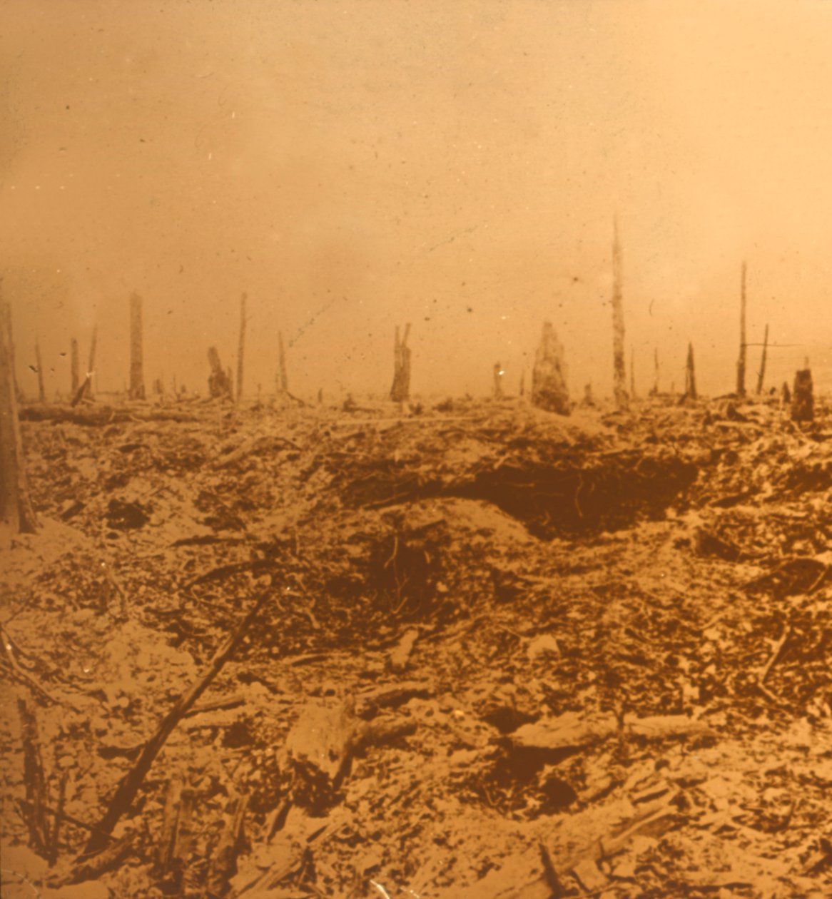 Bois du Chapitre, Vaux, Nordfrankrig, c1914-c1918 af Unbekannt