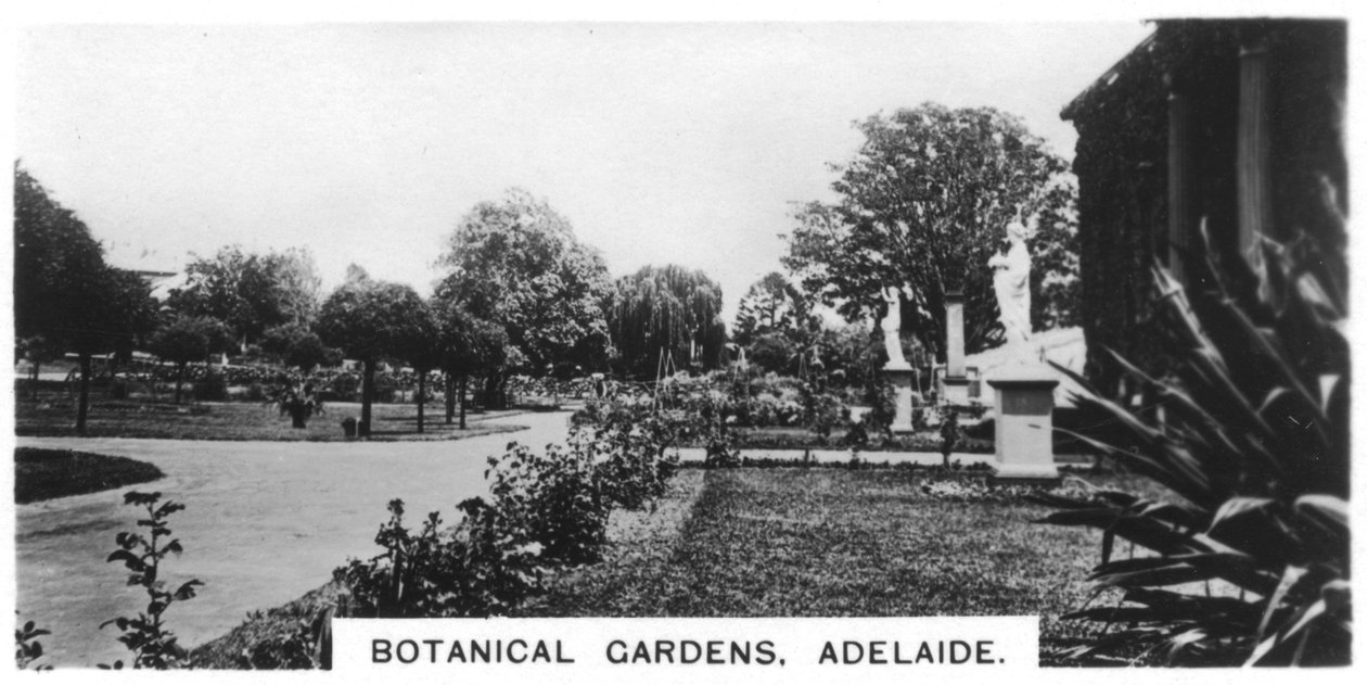 Botanisk have, Adelaide, Australien, 1928 af Unbekannt