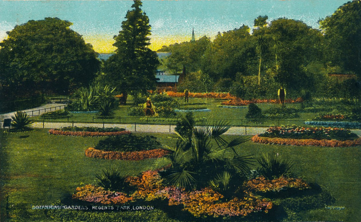 Botanisk have, Regents Park, London, c1910 af Unbekannt