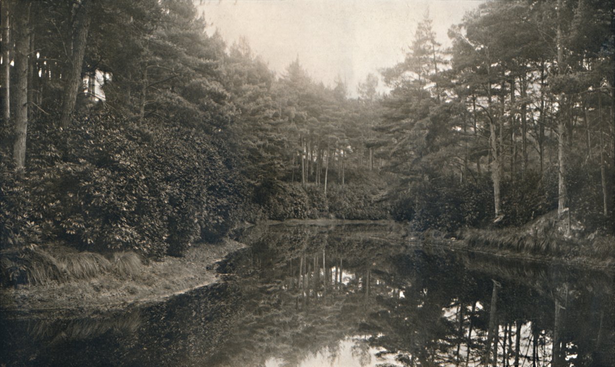 Branksome Chine and Lake, c1910 af Unbekannt