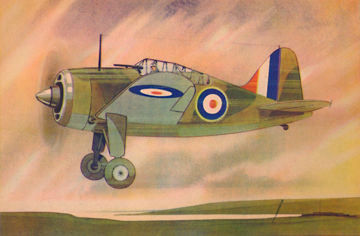 Brewster Buffalo Fighter Monoplane, c1944. af Unbekannt