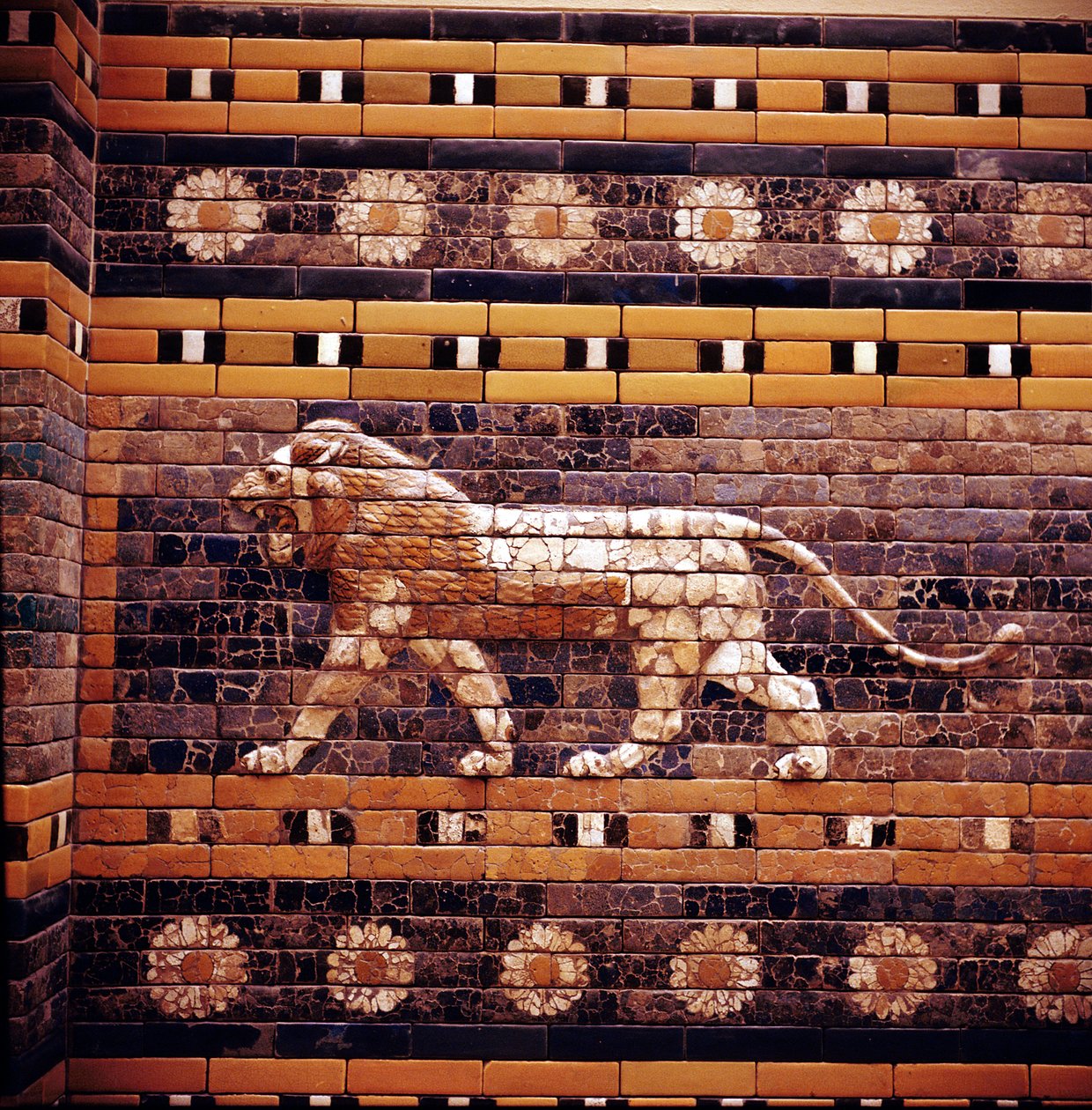 Murstensrelief af en løve på væggene af den hellige vej, der fører til Ishtar-porten, Babylon, c580 f.Kr. af Unbekannt