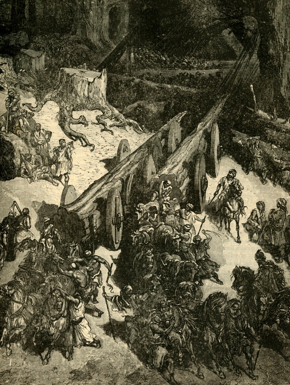 Bringing Cedar fra Libanon, 1890. af Unbekannt