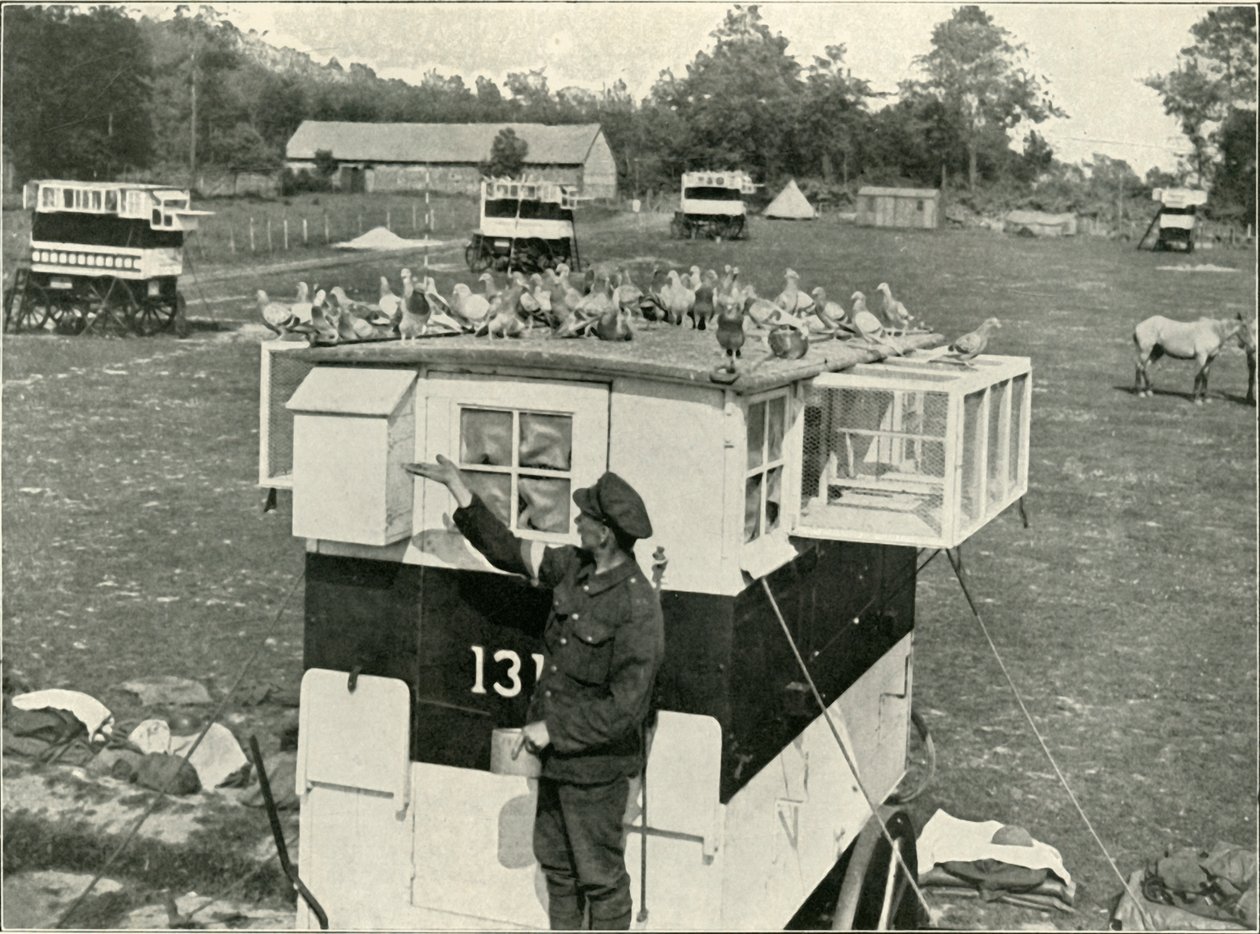 British Army Carrier Pigeons in France: Horse-Drawn Lofts, 1919. af Unbekannt