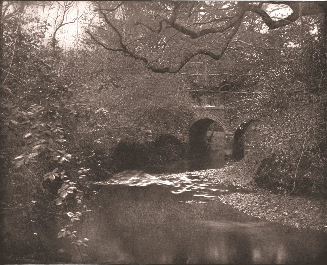 Bæk og bro i New Forest, Hampshire, 1894. af Unbekannt