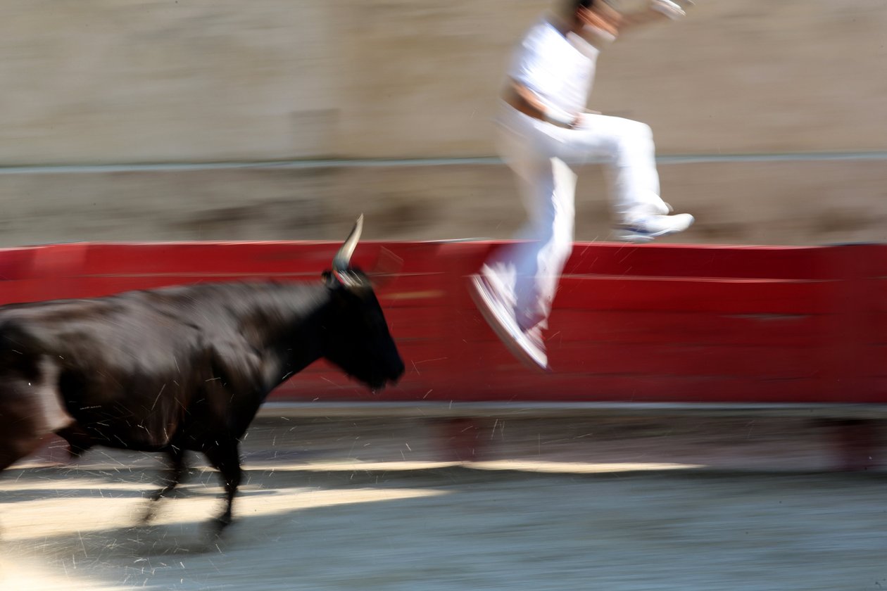 Tyrefægtning (Course camarguaise). Et blodløst skue (for tyrene), hvor målet er at snuppe en roset fra hovedet på en tyr, Vallabregues, Frankrig af Unbekannt