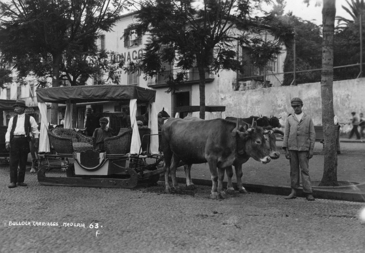 Tyrevogn, Madeira, Portugal, c1920