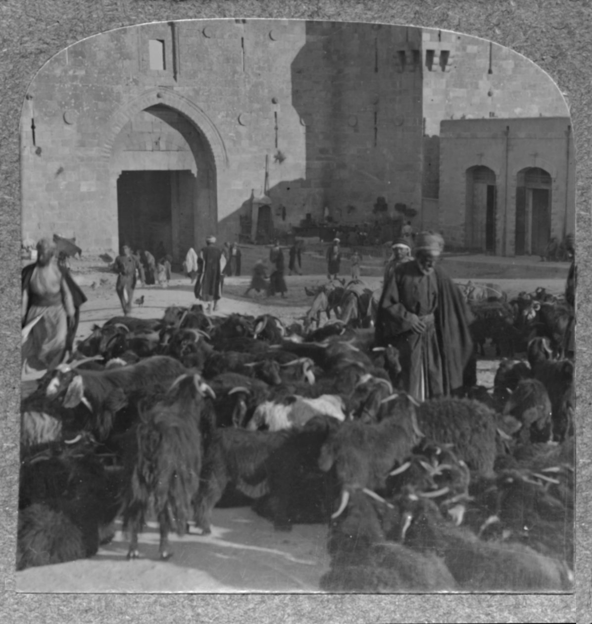 Køber geder ved Damaskus-porten, Jerusalem, omkring 1900 af Unbekannt