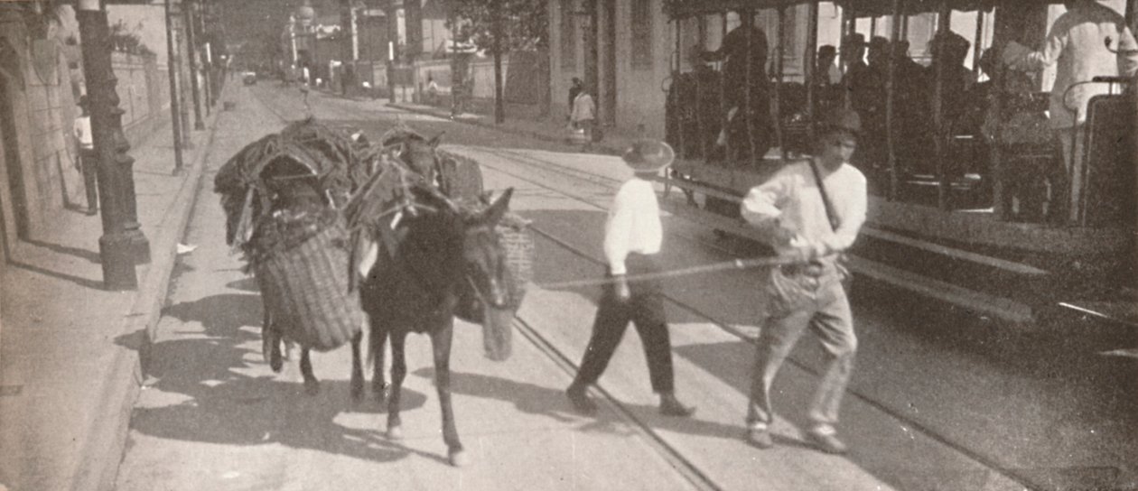 Med sporvogn og muldyr, 1914 af Unbekannt