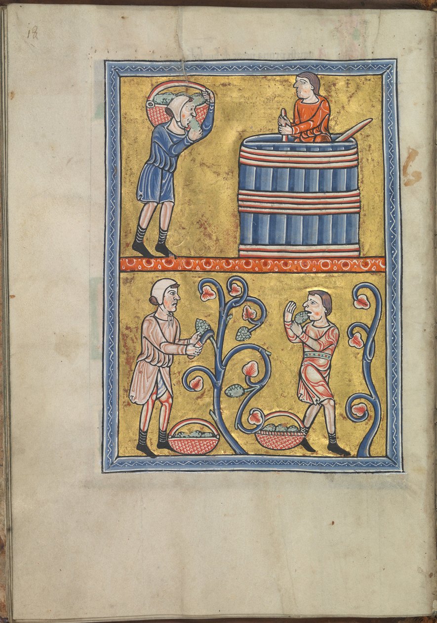 Kalender, september, mænd, der plukker og træder druer - Psalter af Eleanor fra Aquitaine (ca. 1185) - KB 76 F 13, folium 009v af Unbekannt