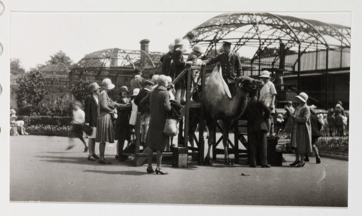 Kameltur, ca 1930 af Unbekannt