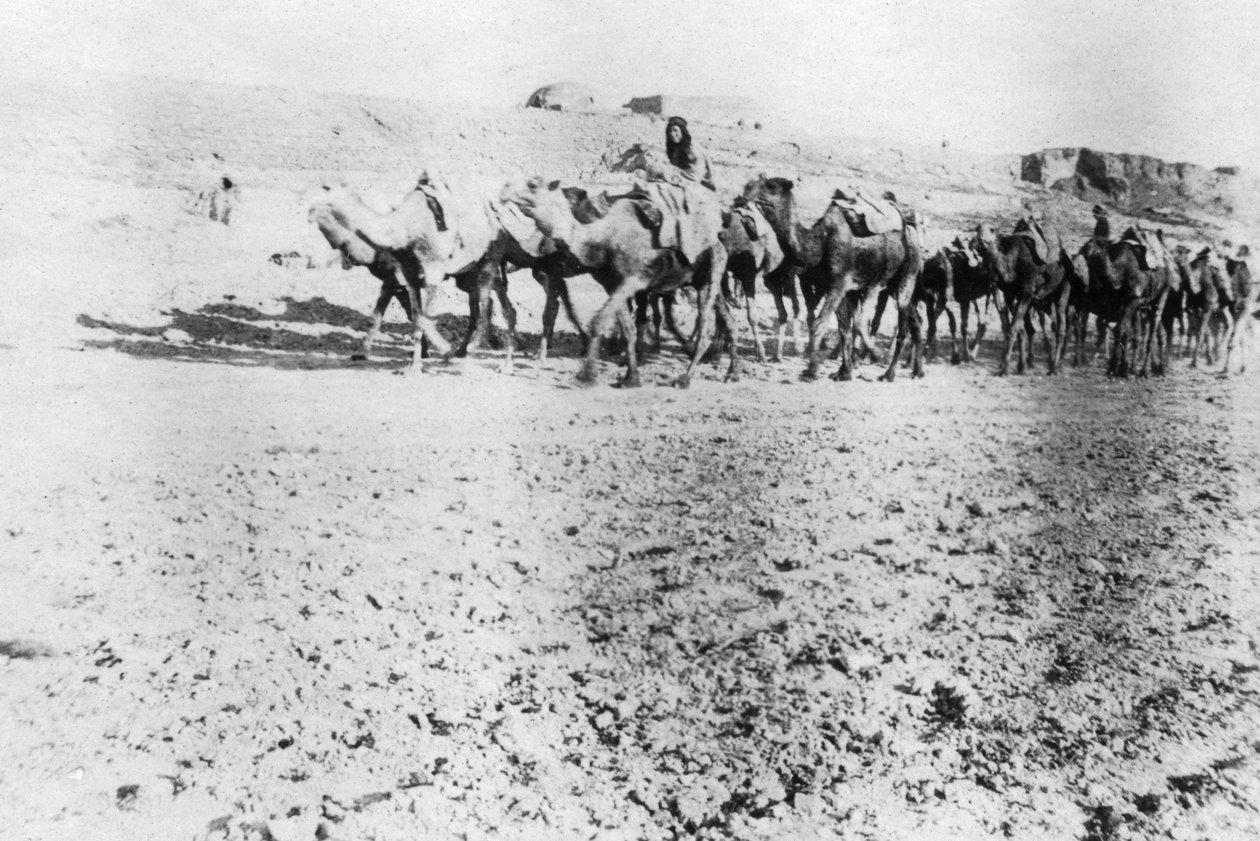 Kameltog, Mosul, Mesopotamien, 1918 af Unbekannt