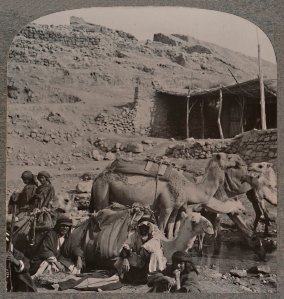 Kameltog fra Jerash, vanding ved Elisha-fontænen, ca. 1900 af Unbekannt