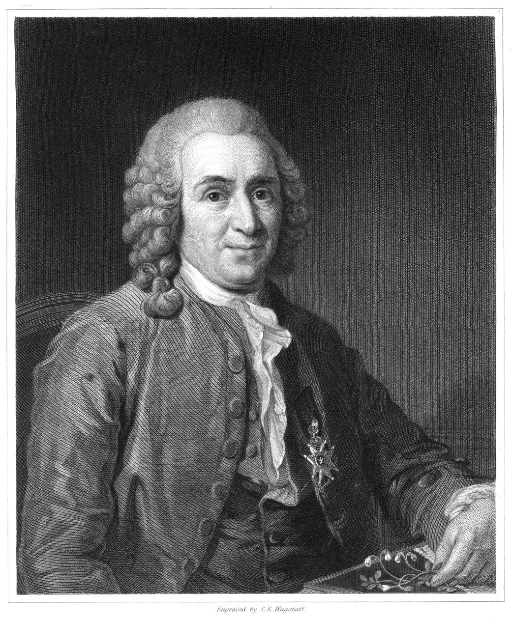 Carolus Linnaeus, svensk naturforsker fra det 18. århundrede, 1835 af Unbekannt