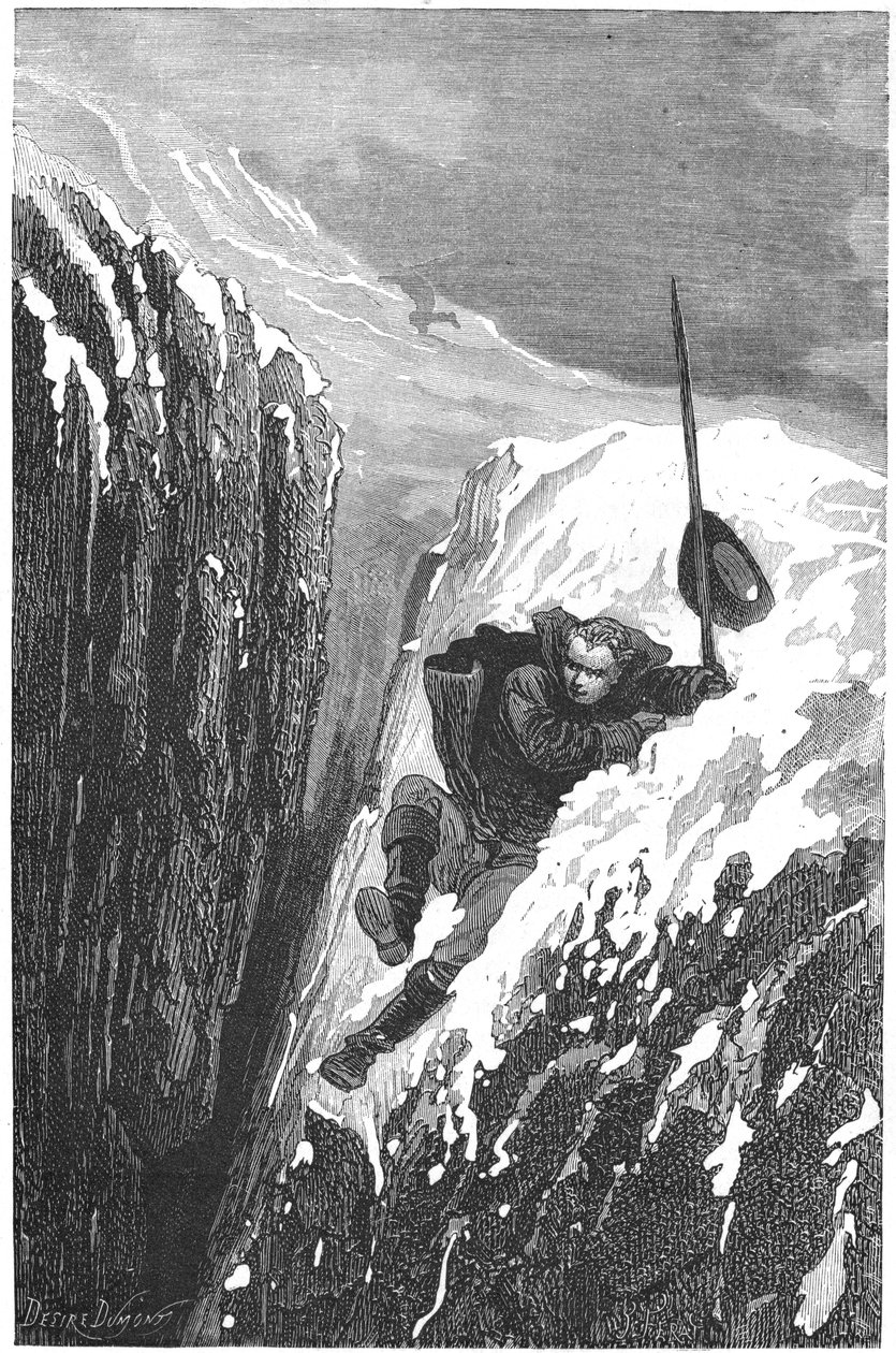 Carolus Linnaeus, svensk videnskabsmand og naturforsker fra det 18. århundrede, 1874 af Unbekannt