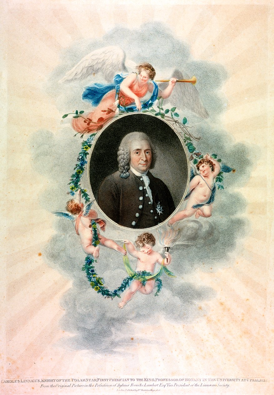 Carolus Linnaeus, svensk naturforsker og læge, 1807 af Unbekannt